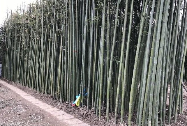 1629194280600414.jpg 1629194277.jpg