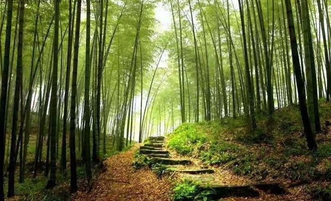 1629198929172408.jpg 1629198925(1).jpg