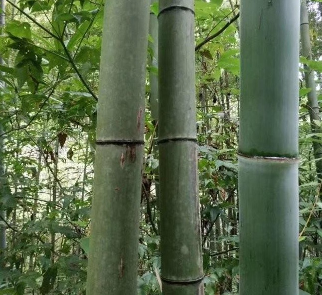 1629198965970326.jpg 1629198958(1).jpg