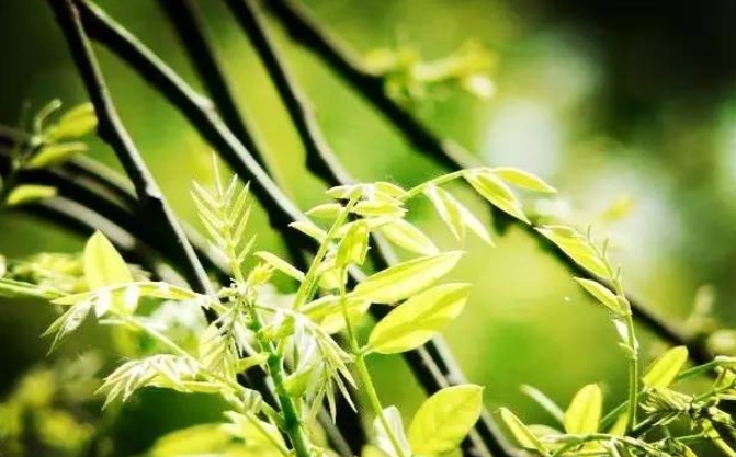 1629199728431298.jpg 1629199722(1).jpg