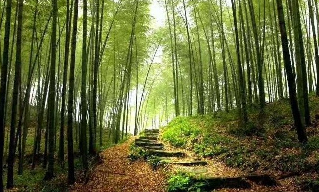 1629199784798398.jpg 1629199780(1).jpg