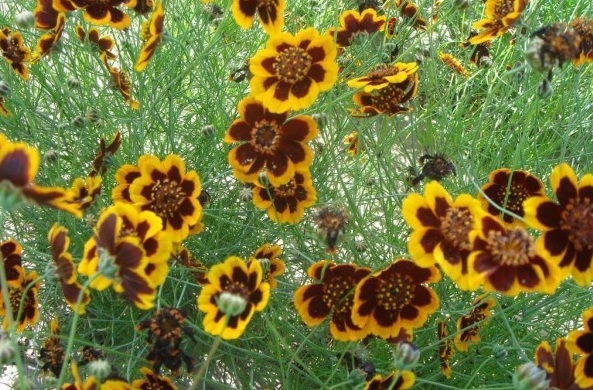 1629199902895824.jpg 1629199897(1).jpg