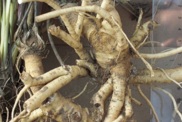 1629200273578903.jpg 1629200268(1).jpg