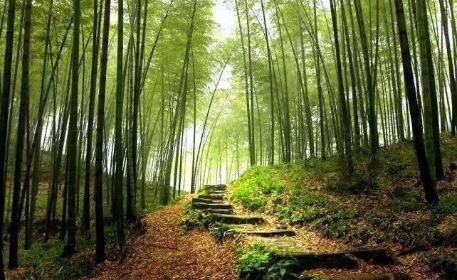 1629201082759782.jpg 1629201079(1).jpg