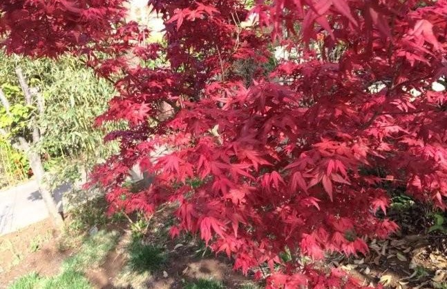 1629241469753113.jpg G0NP[KVO1X~7AI5Z6I_L7CI.jpg