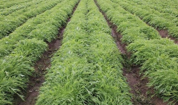 1629242450479988.jpg )9C~ISYS[`FT2JFM_B3)2D6.jpg