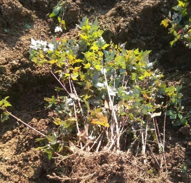 1629243417724027.jpg 7K`BGV}8PR1DT86X6XU}9NI.jpg