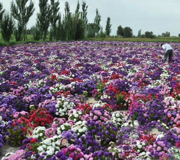 1629246096379258.jpg U((IVX1A8Z1UILBJD_2PO$D.jpg