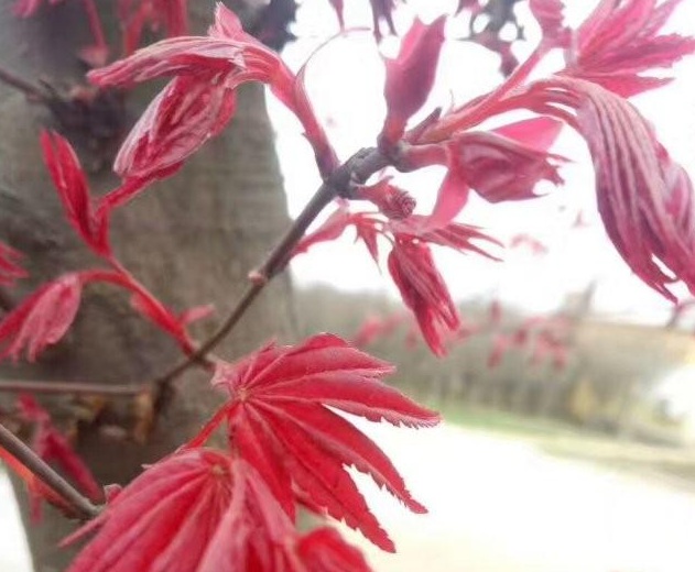 1629246202911867.jpg )%~UN%}D``IR8P%AHS8T6}1.jpg