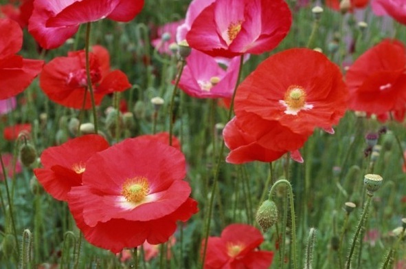 1629246311107331.jpg VG$S1D@VCS0K[~RV7S4D%QC.jpg