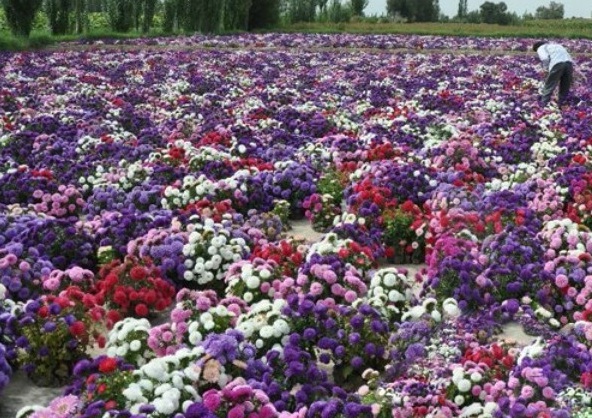 1629248736344403.jpg Q{HX2KW$K8JA43@68DOLS`E.jpg