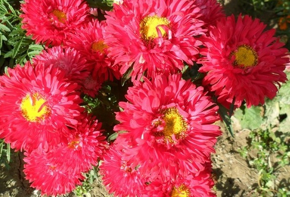 1629248748935752.jpg 3IV8UT89TUB_G7SMT7KI9AC.jpg