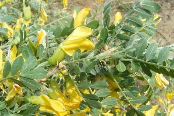 1629249125583122.jpg O}(17H9WD0DC7`W@%)C2W{C.jpg