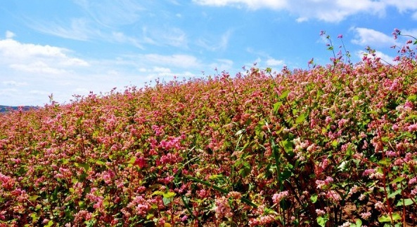 1629249188821666.jpg 8T)FY_I%(W_S357ONTC[A6C.jpg