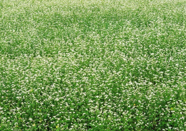 1629249208564476.jpg }NFS@3F)23NNS$G3L@}K5TO.jpg