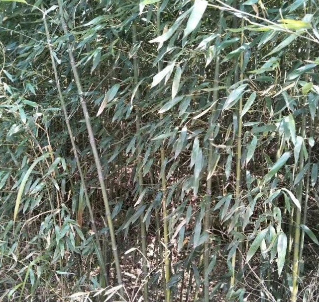 1629249262600736.jpg 3EC5P8ZUZ}4WBQLS4P)2%LE.jpg