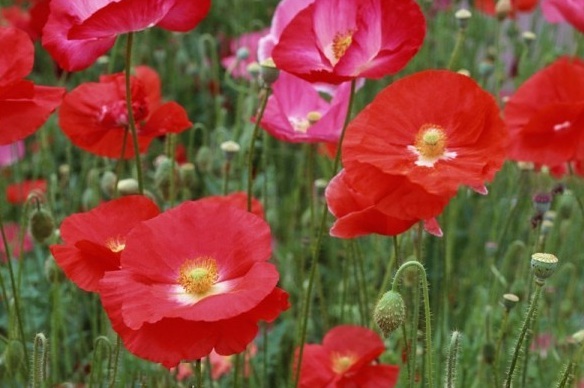 1629249316368885.jpg F[DTS{AR(2}0C19S0MVE%OW.jpg