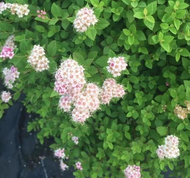 1629249463346398.jpg )~[(B1%M7BQ}2C}O6I6_ZD7.jpg