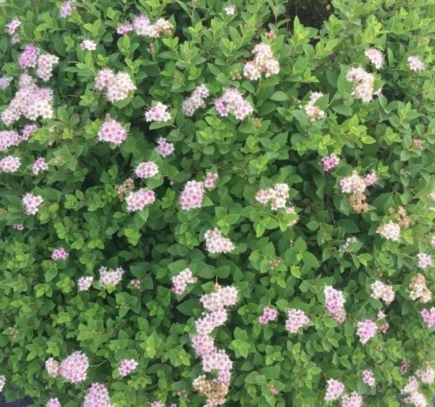 1629249476629231.jpg BXPZ73TE8O9ZNMO(Q2)TTIG.jpg