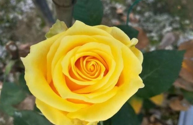 1629265374593640.jpg ZSW4%9N(505SR{N6KSE0R8N.jpg