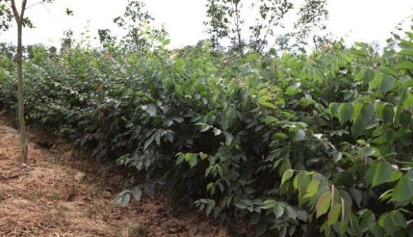 1629266467689765.jpg JT3%B86U$8@FGZK{`Y(HOUL.jpg