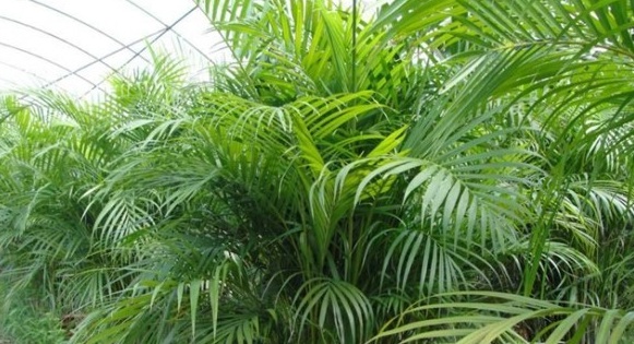 1629266572445207.jpg WA3GF2GN(%ZAPY9$W0AH})9.jpg