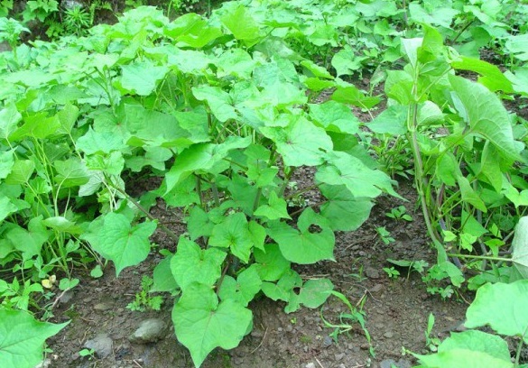 1629266927650818.jpg DU%N7C7F2(JRS7Q$4[MIF4L.jpg