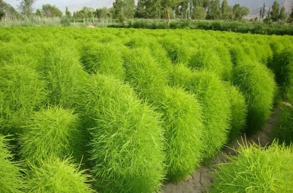 1629267385844929.jpg 5B7(LBAR$ZF9ZWST702`CD1.jpg