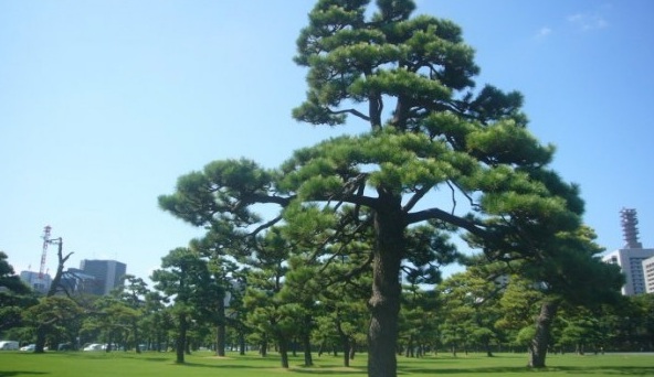 1629269311582028.jpg Q[9_%ST2ZELUPZY0J4_J2DC.jpg