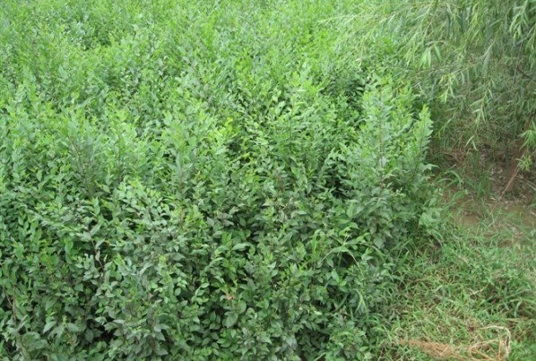 1629269587825583.jpg 4K3041{`RXZ@DYT`OPL95P2.jpg