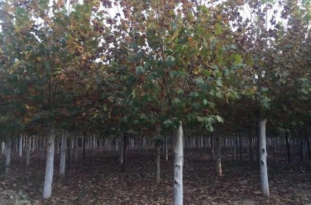 1629269763660927.jpg 7E}4VKEMFAN1U$(L97ZB@AK.jpg