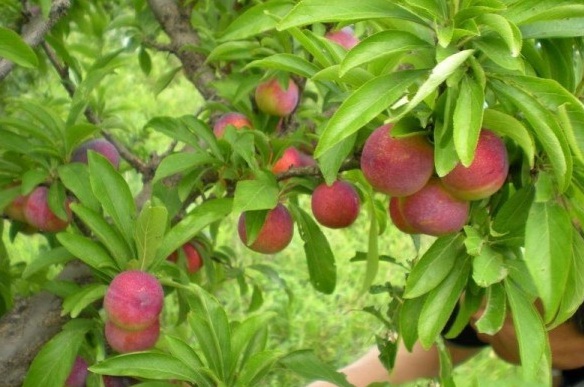 1629271879441968.jpg PXZR~$I{746[R%F6`Y`Z[}6.jpg