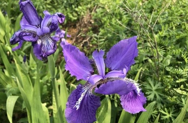 1629271951394539.jpg Y2CWD7`$Z[)HB%_637A)$ZJ.jpg