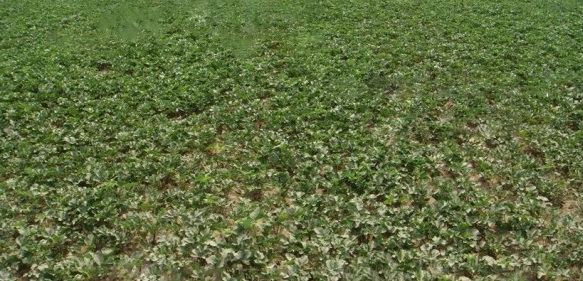 1629272034190874.jpg J40D%}%44UEXAPB~[8MF}25.jpg