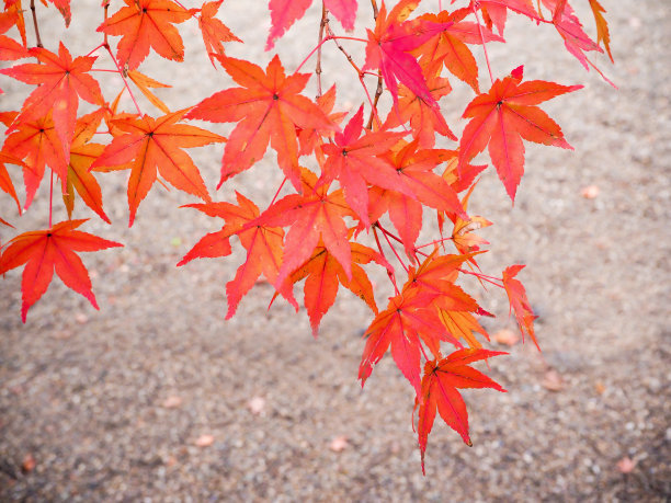 1629273895134855.jpg 1629273895134855.jpg