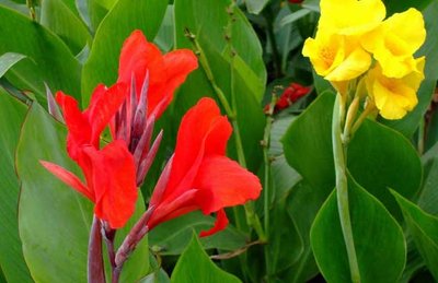 1629275639301896.jpg 1629275639301896.jpg