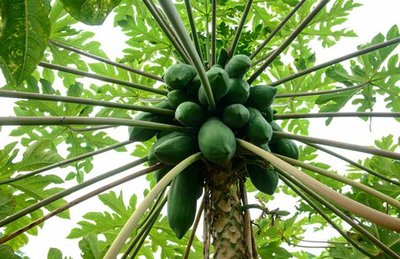 1629275786432117.jpg 1629275786432117.jpg