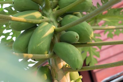 1629275843614922.jpg 1629275843614922.jpg