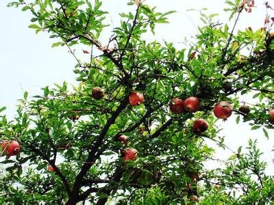 1629276612143060.jpg 1629276612143060.jpg