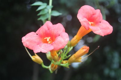 1629276955682766.jpg 1629276955682766.jpg