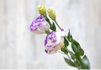 1629277436861227.jpg 1629277436861227.jpg