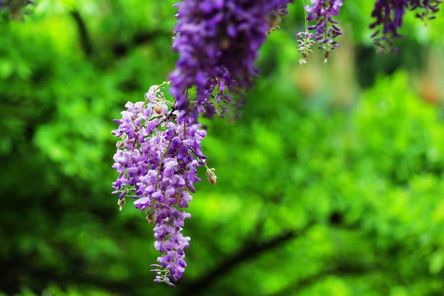 1629278431708161.jpg 1629278431708161.jpg