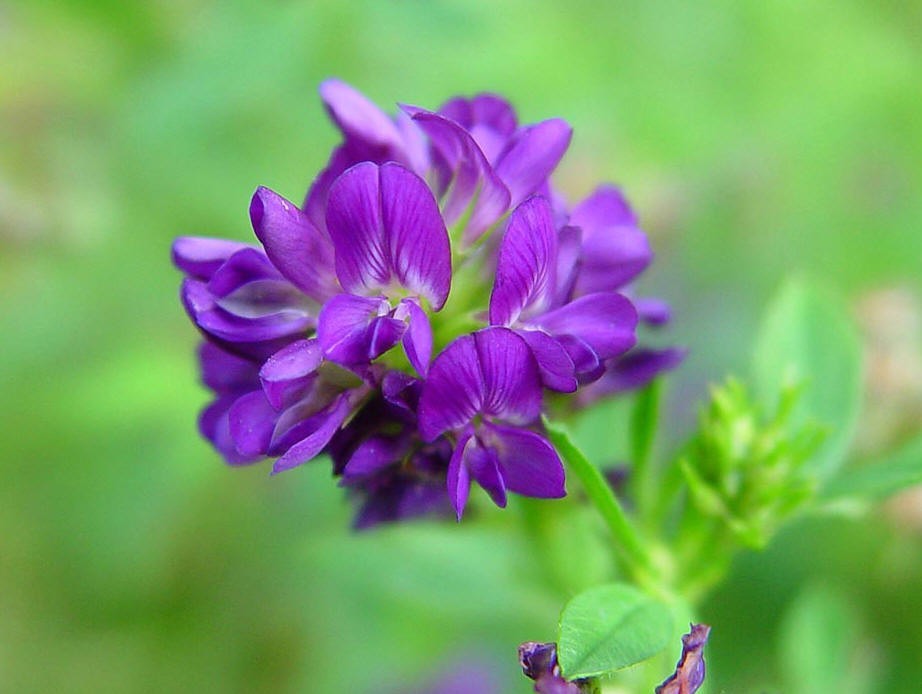 1629294082294983.jpg 1629294082294983.jpg