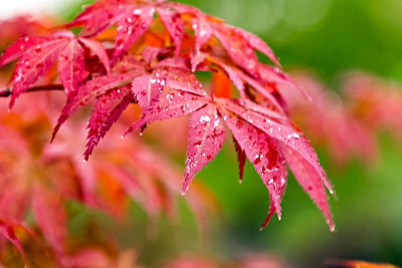 1629297075154019.jpg 1629297075154019.jpg