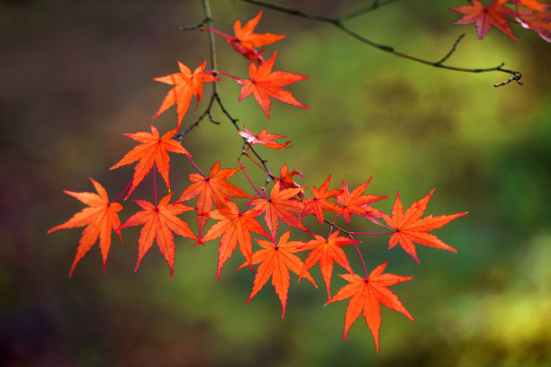 1629297218932004.jpg 1629297218932004.jpg