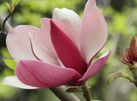 1629330642787565.jpg image.jpg