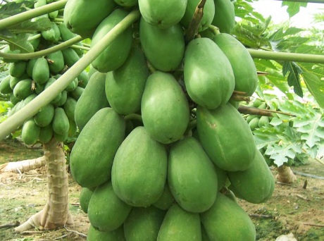 1629331154156508.jpg image.jpg