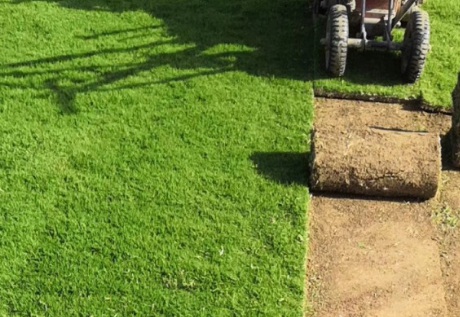 1629333351304662.jpg image.jpg