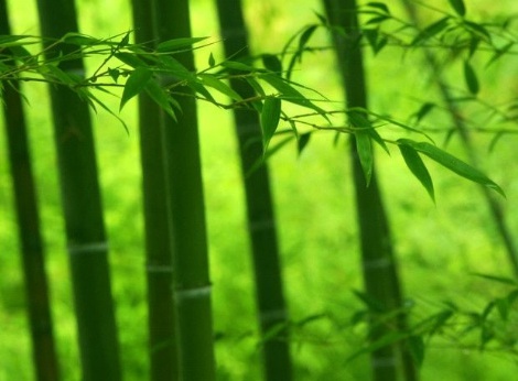 1629333581998315.jpg image.jpg