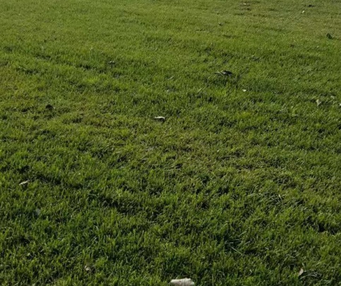 1629333749843710.jpg image.jpg